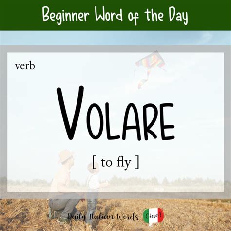 Italian Word of the Day: Volare (to fly) .